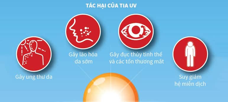 Tác hại của tia UV với con người