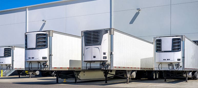 Container lạnh thường vận chuyển hàng hóa nào?