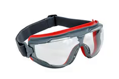 Goggle Gear GG501SGAF