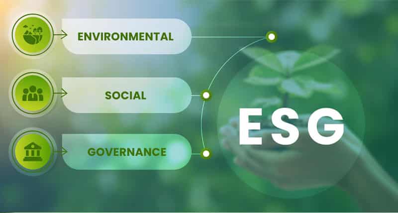 Tiêu chuẩn ESG là gì?
