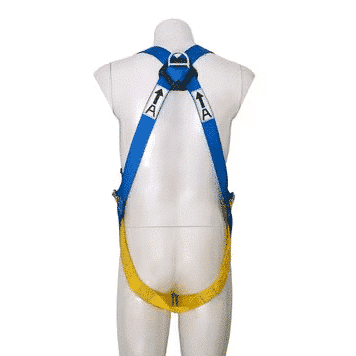 Dây An Toàn Toàn Thân 3M™ Protecta® First™ 1390024