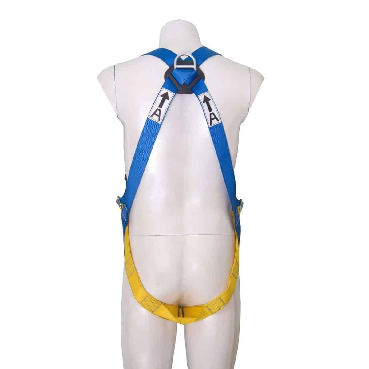 Dây an toàn toàn thân 3M Protecta First 1390024 – ảnh chính hãng 3M