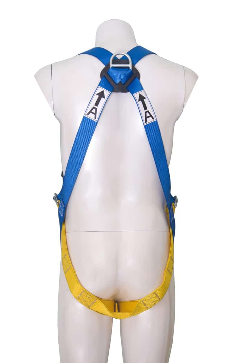 Dây an toàn toàn thân 3M Protecta First 1390024 – ảnh chính hãng 3M