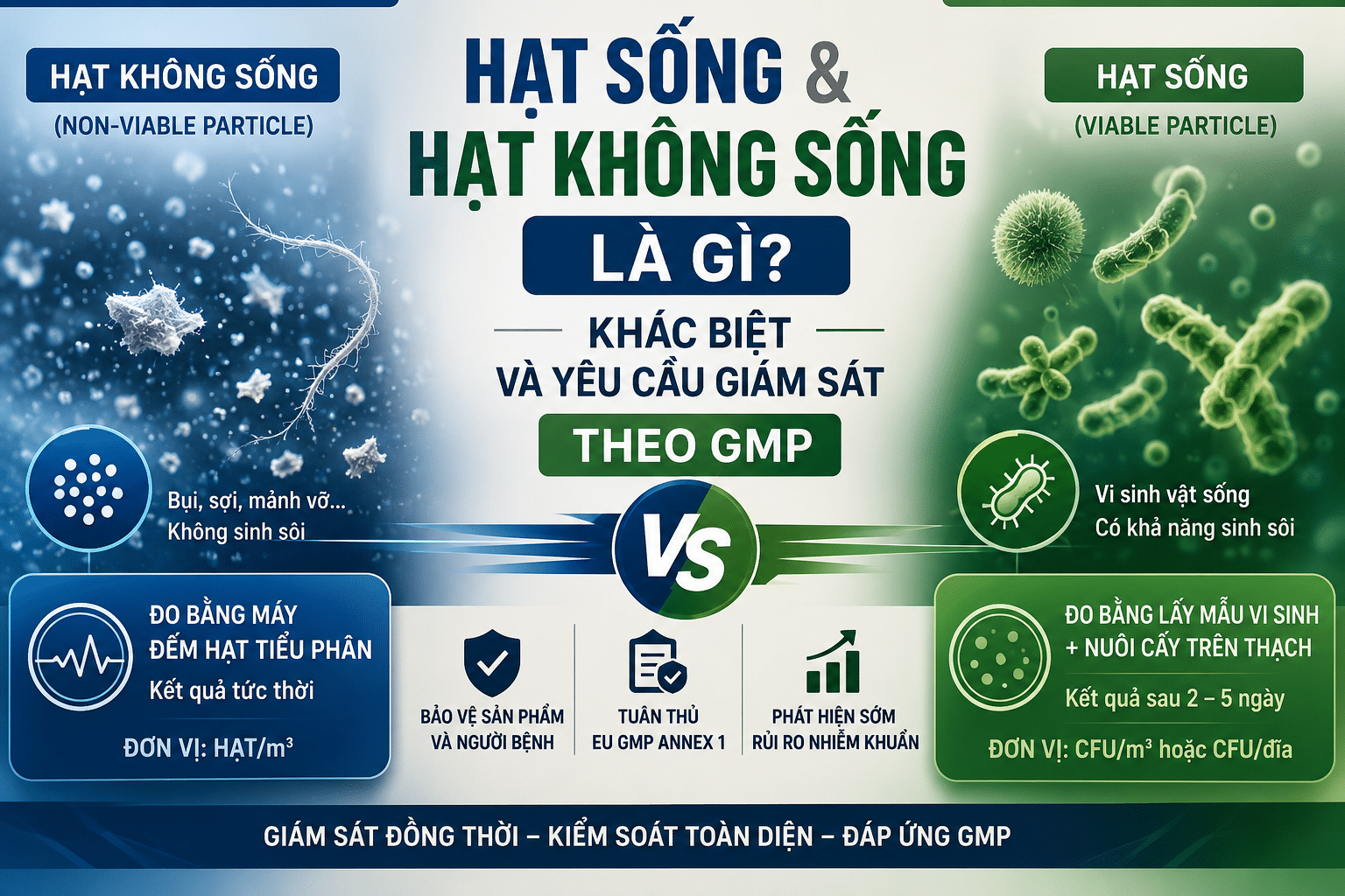 Khác biệt giữa hạt sống và hạt không sống