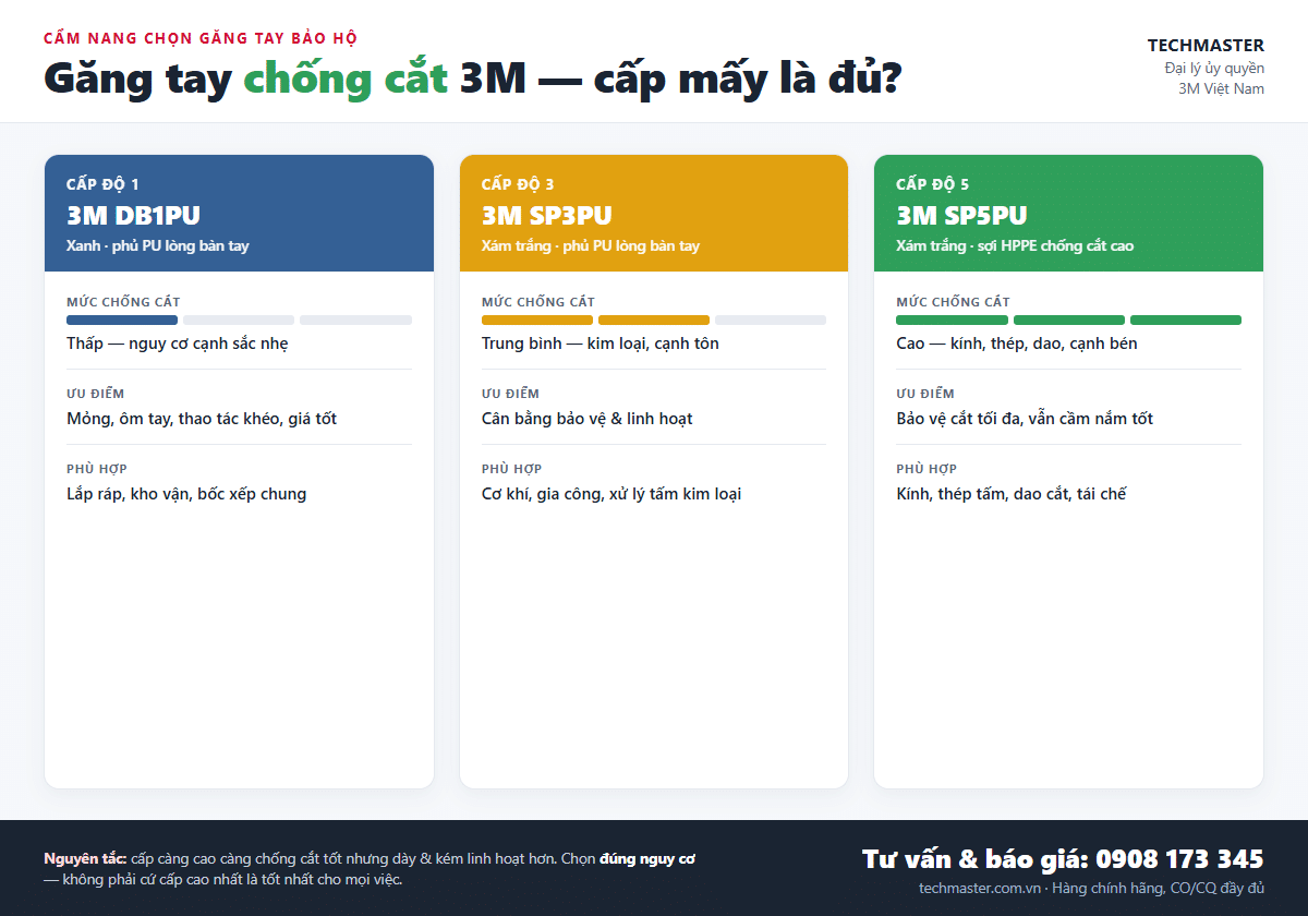 Infographic so sánh găng tay chống cắt 3M cấp độ 1, 3, 5