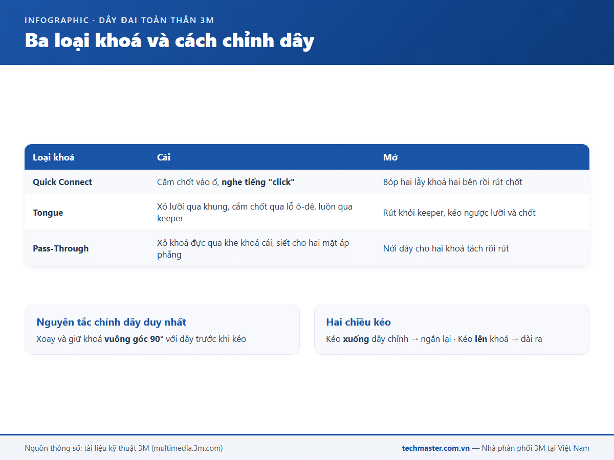 Infographic ba loại khoá và cách chỉnh dây đai an toàn toàn thân 3M