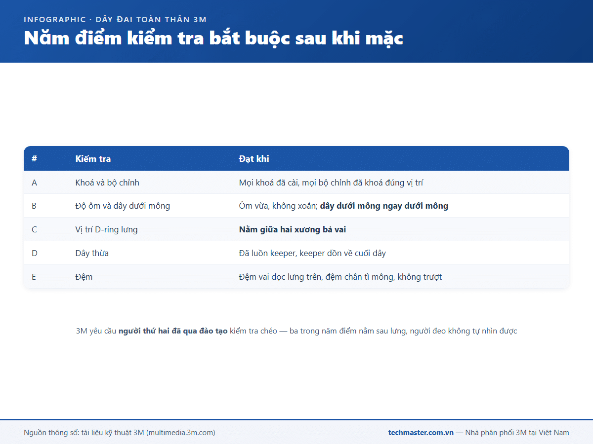 Infographic năm điểm kiểm tra bắt buộc sau khi mặc dây đai an toàn 3M