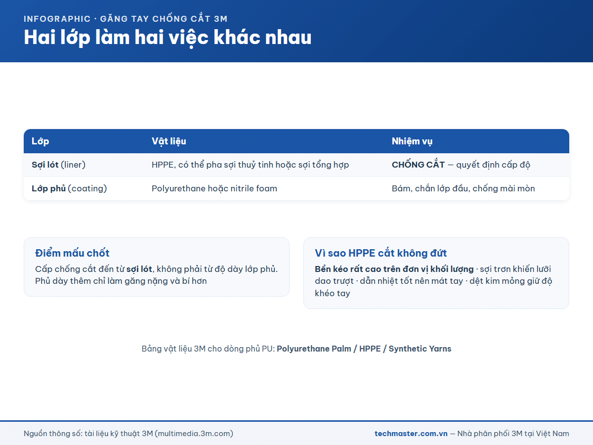 Infographic vai trò sợi lót HPPE và lớp phủ trên găng tay chống cắt 3M